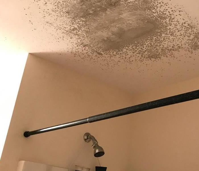 Mold in residential bathroom