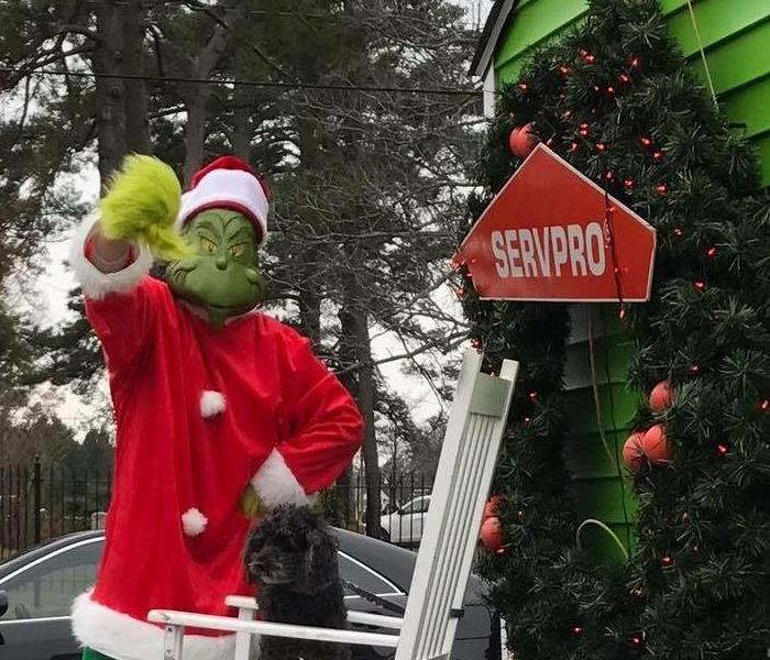 Dana dresses up as the Grinch