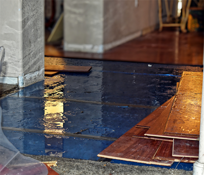 Water is present underneath the hardwood floor. 